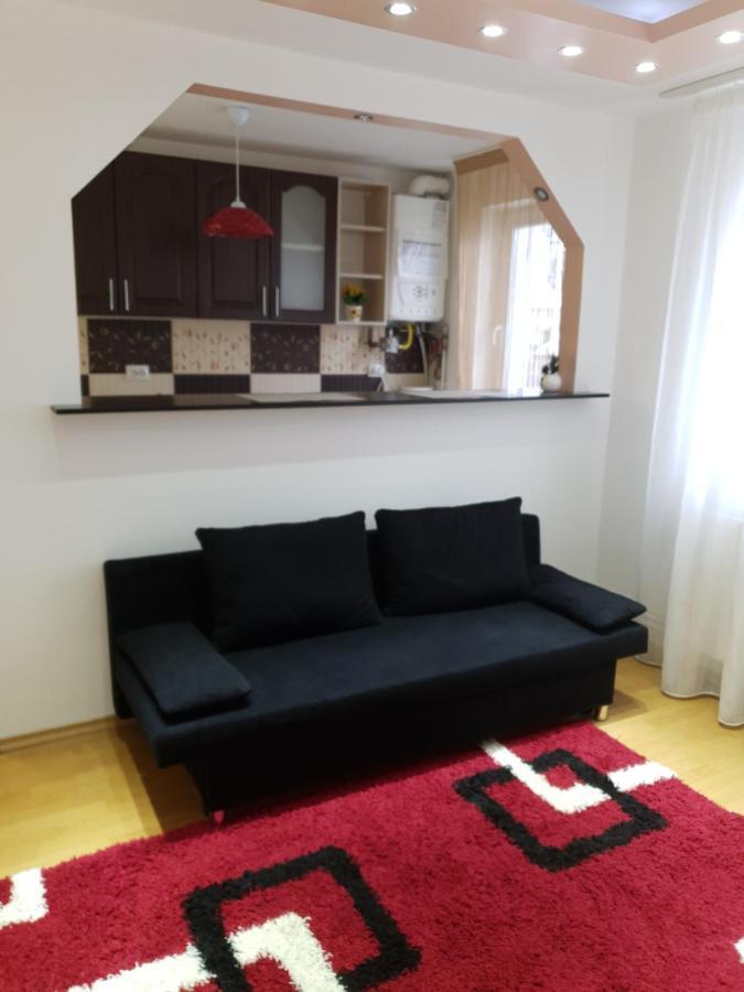 19 Residence Apartment Cavnic Esterno foto