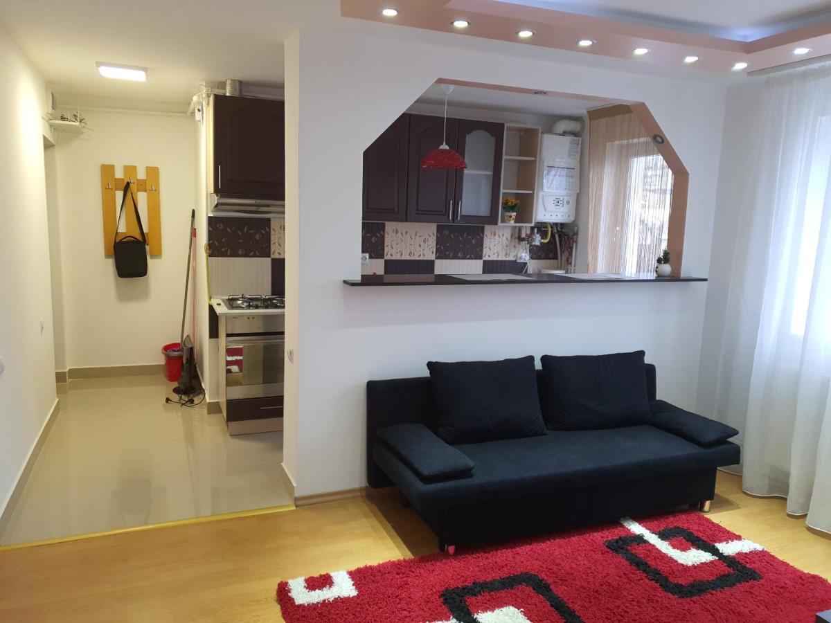 19 Residence Apartment Cavnic Esterno foto