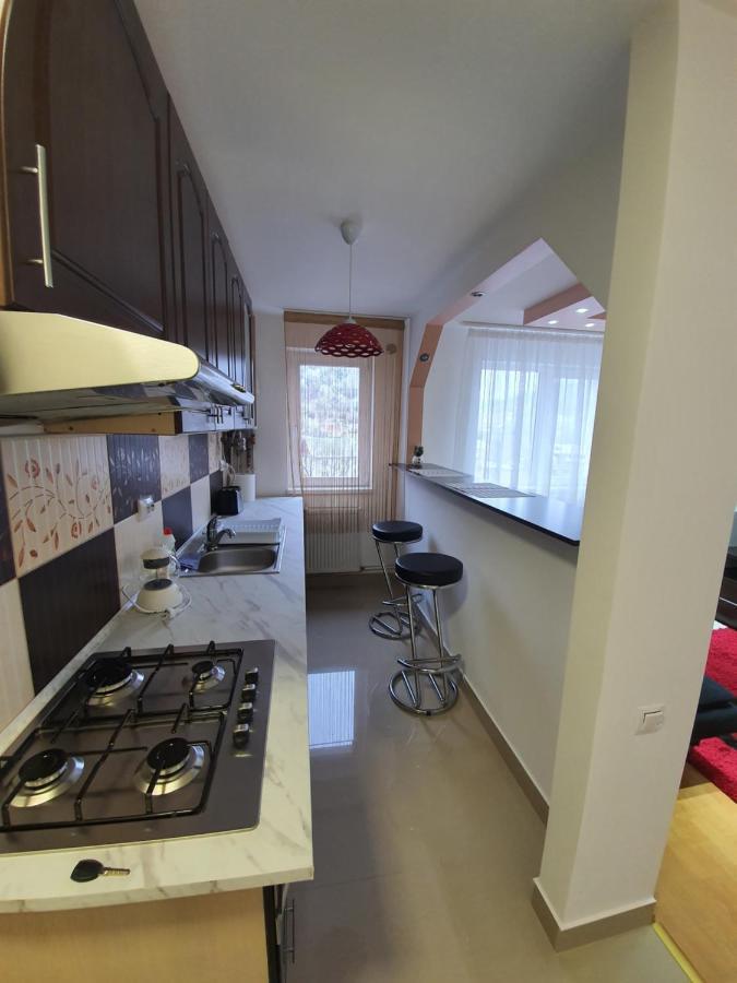 19 Residence Apartment Cavnic Esterno foto