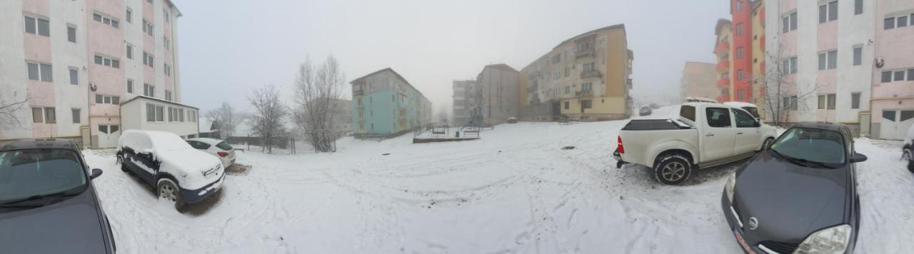 19 Residence Apartment Cavnic Esterno foto