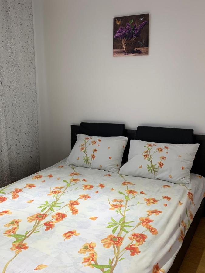 19 Residence Apartment Cavnic Esterno foto