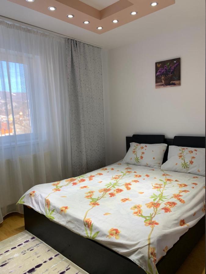 19 Residence Apartment Cavnic Esterno foto